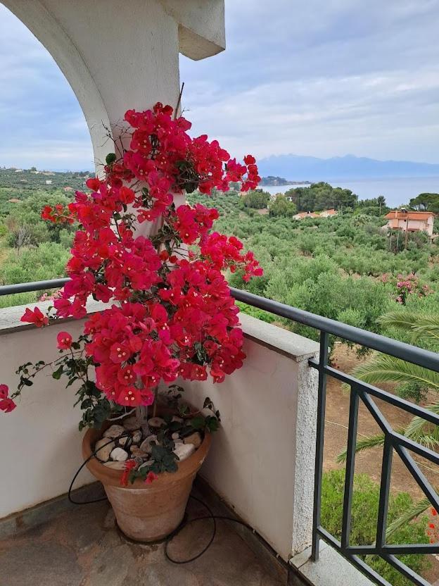 Villa Mariana Koroni  Exterior photo