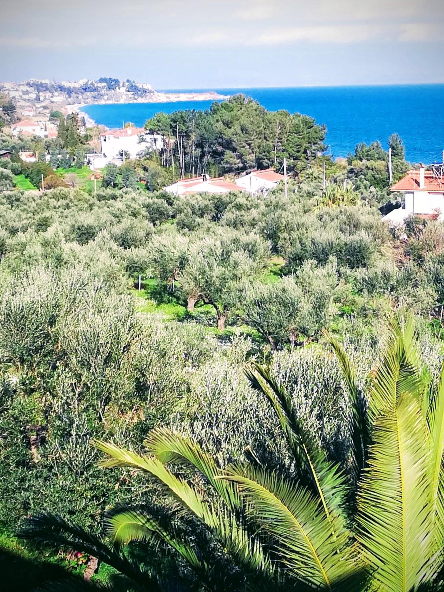 Villa Mariana Koroni  Exterior photo